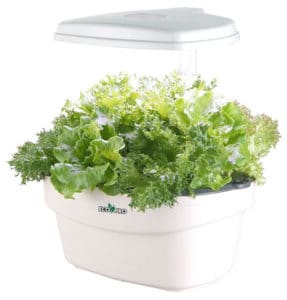 EcoPro Indoor Hydroponics Grower Kit