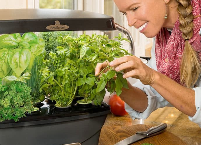 Indoor Hydroponic Herb Garden Systems & Kits