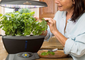 Indoor Hydroponic Herb Garden Systems & Kits