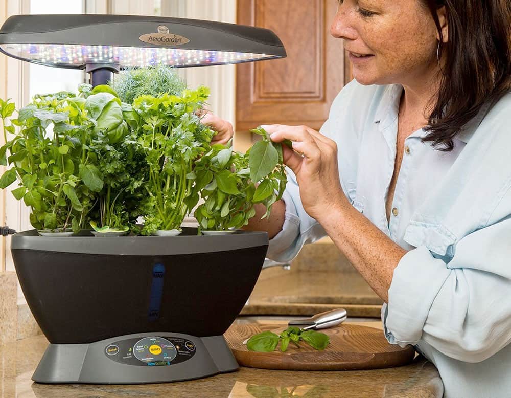 Indoor Hydroponic Herb Garden Systems & Kits - Better ...