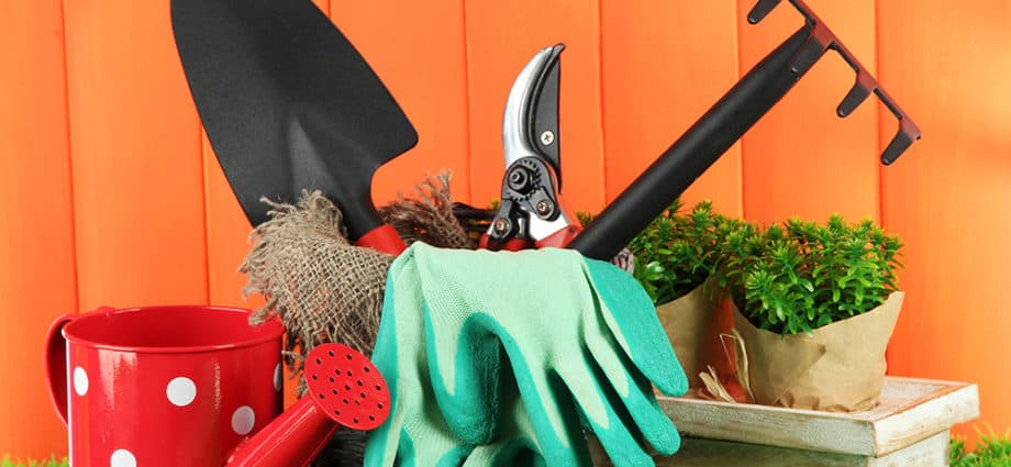 Essential Gardening Tools for Beginners