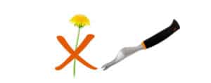 How to Remove Dandelions