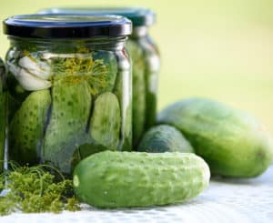 Dill for Pickling Cucumbers