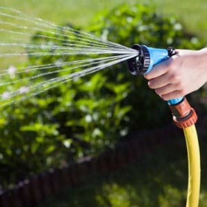 Pocket Hose Expandable Garden Hose Review