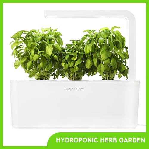 Indoor Hydroponic Herb Garden Systems & Kits