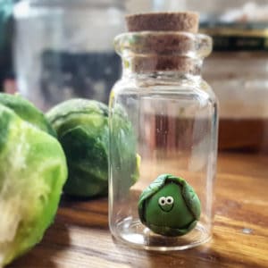 Pet Brussel Sprout Stocking Stuffers for Gardeners