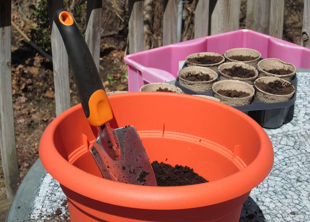 Selecting Containers for Urban Gardening