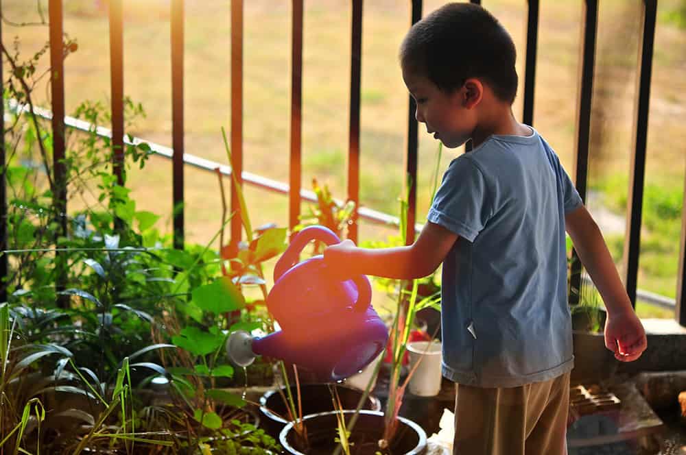 Watering a Container Garden