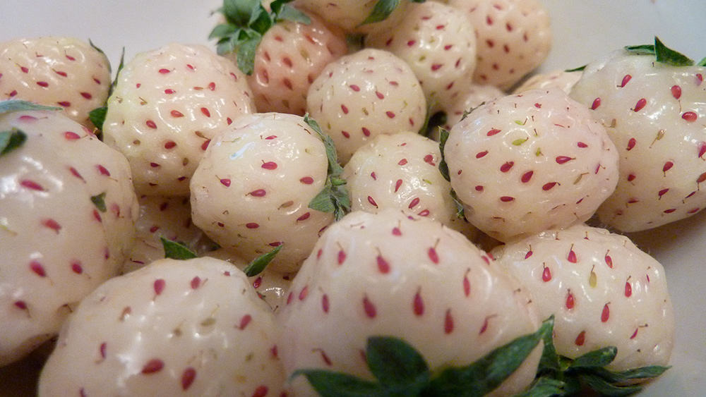 White Pineberry - Weird Fruits