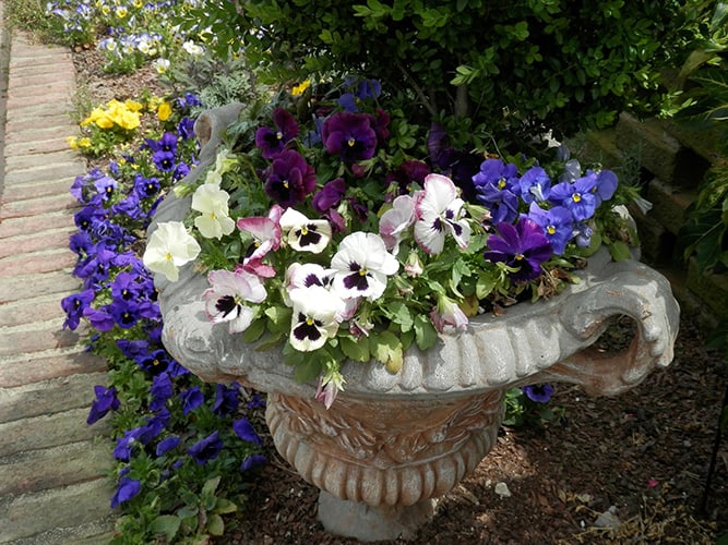 Heavy Flower Planter to Deter Thieves