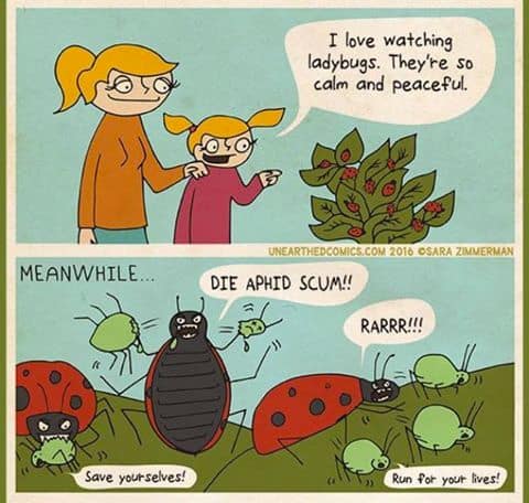 Gardening Jokes Quotes