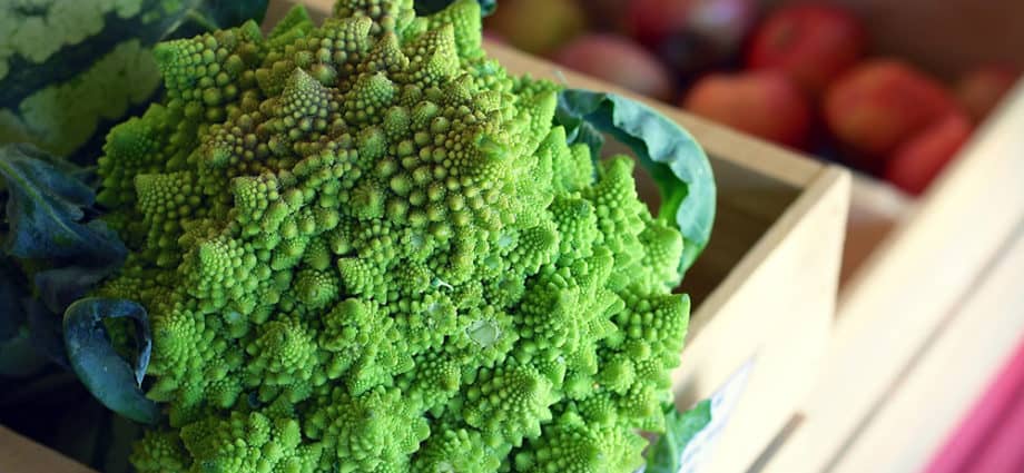 Romanesco Broccoli Unique Veggie to Avoid Garden Theft