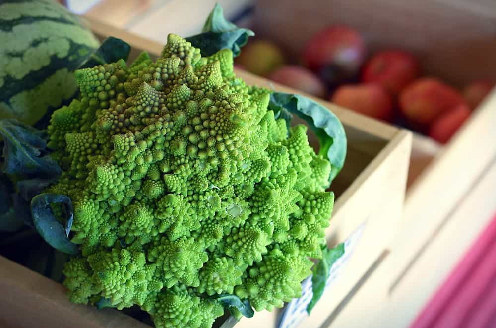 Romanesco Broccoli Unique Veggie to Avoid Garden Theft