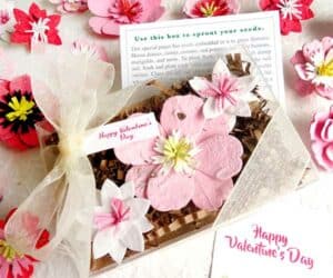 Seed Paper Flowers Valentine's Day Gift