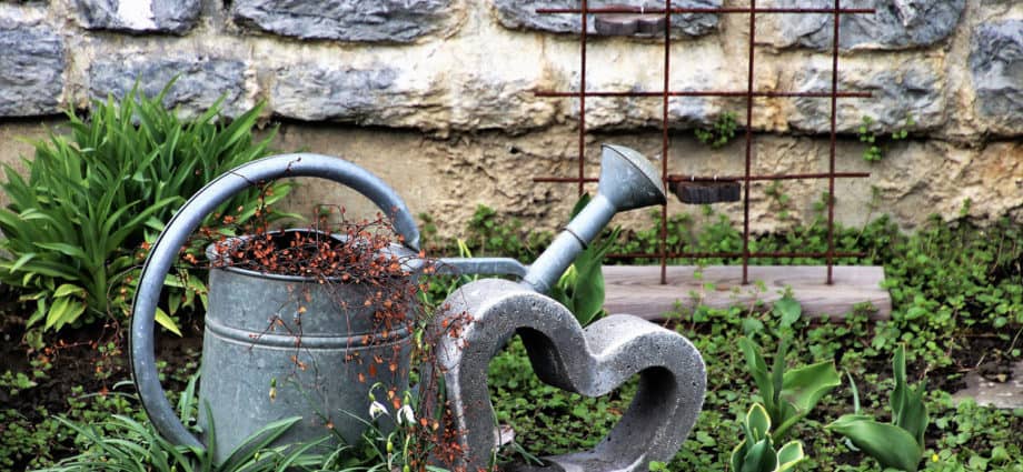 Romantic Valentine's Day Gifts for Gardeners