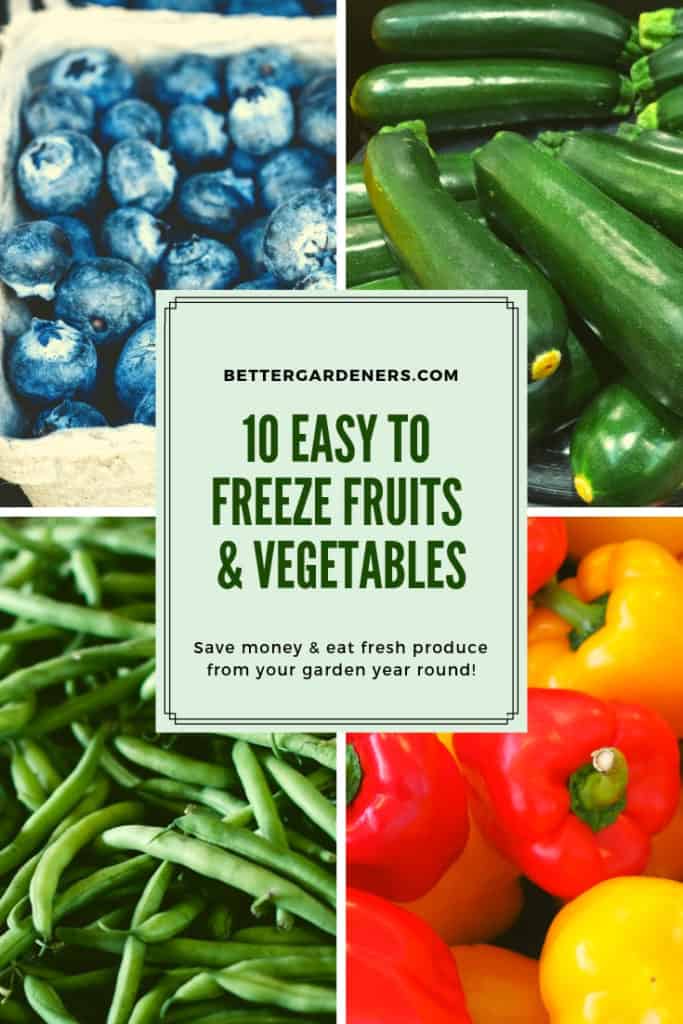 10 Easy to Freeze Fruits & Vegetables from Your Garden Better