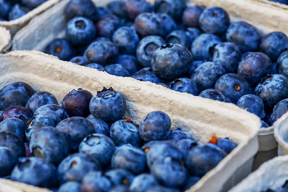 Easy to Freeze Fruits - Blueberries