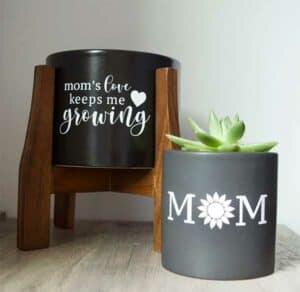 Mom's Love Keeps Me Growing Plant Pots