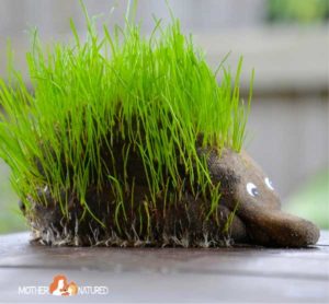 DIY Animal Grass Heads Kids Gardening Project