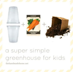 DIY Greenhouse Activity for Kids