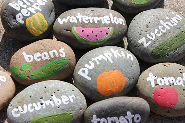 Painted Rock Garden Markers