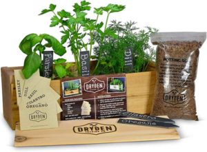 Grow a Windowsill Herb Garden Activities for Kids