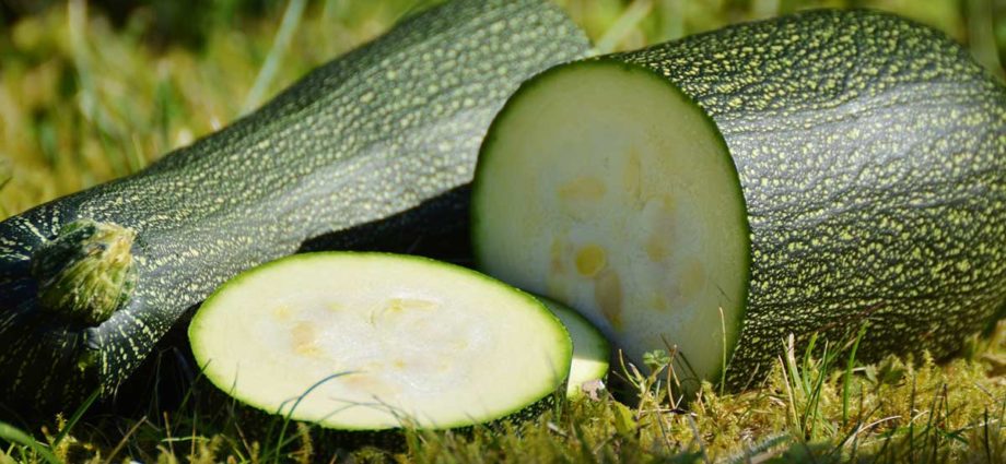 Easy To Grow Vegetables - Zucchini