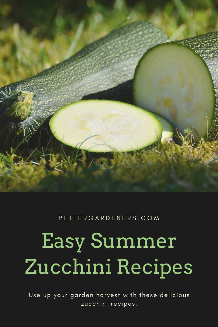 10 Best Zucchini Recipes for Your Garden Harvest