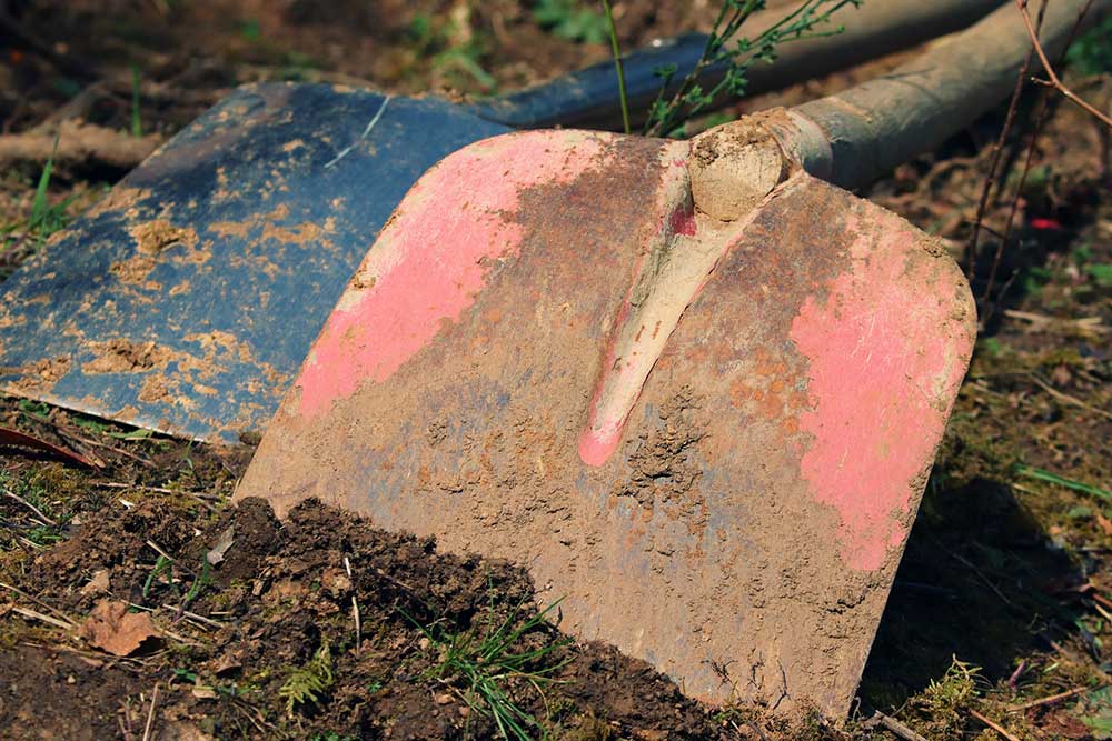 Clean and Sharpen Garden Tools