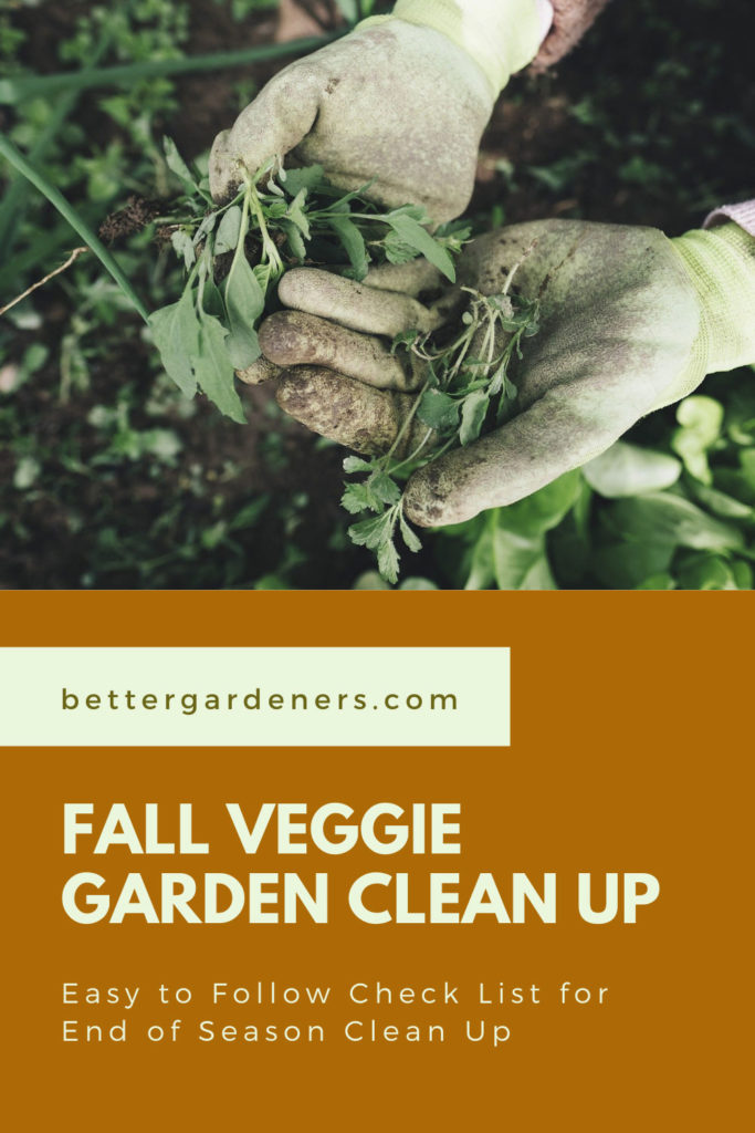 Fall End of Season Vegetable Garden Cleanup Checklist Better