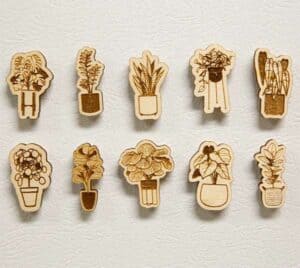  Houseplant Magnets - Gifts for Plant Lovers